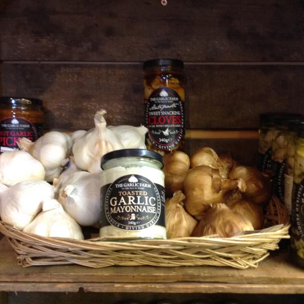 Picture of The Garlic Farm
