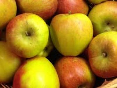 Picture of Apples - Braeburn