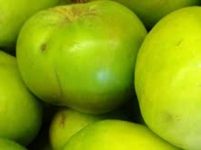 Picture of Apples - Bramley/Cooking 350g (1 Apple)