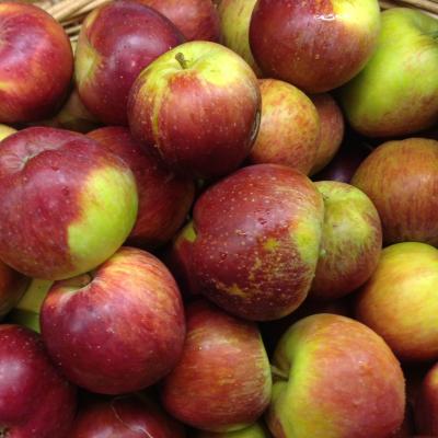 Picture of Apples - Magic Star