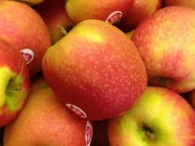 Picture of Apples - Pink Lady