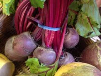 Picture of Beetroot - Bunched