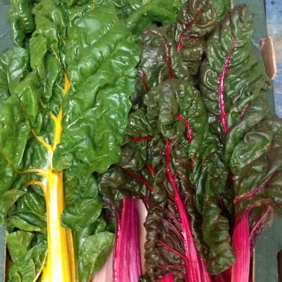 Picture of Chard (Grown here at Stanhill Farm)