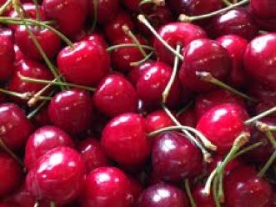 Picture of Cherries (Kent) 500g