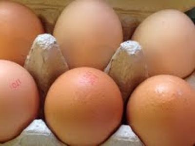 Picture of Eggs - 12 EXTRA Large (Free Range)