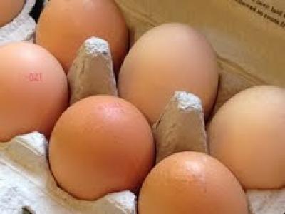 Eggs - 12 LARGE (Free Range) Picture of Eggs - 12 LARGE (Free Range)