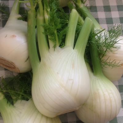 Picture of Fennel