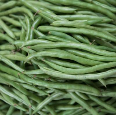 Picture of Fine Beans 150g pack