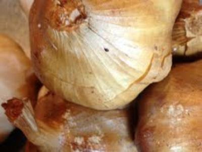 Picture of Garlic - Smoked (Isle of Wight)