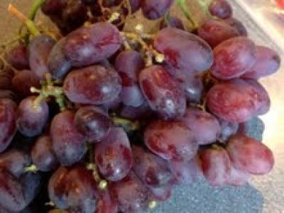Picture of Grapes - Red Seedless
