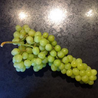Picture of Grapes - White Seedless