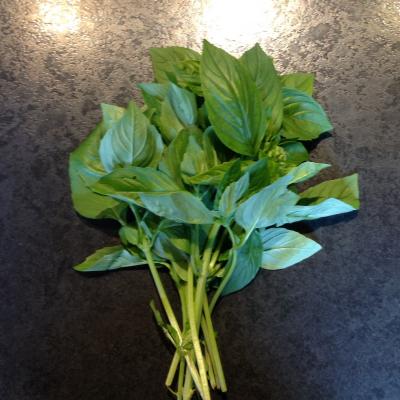 Picture of Herb - Basil