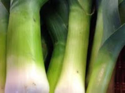 Picture of Leeks (Grown here)