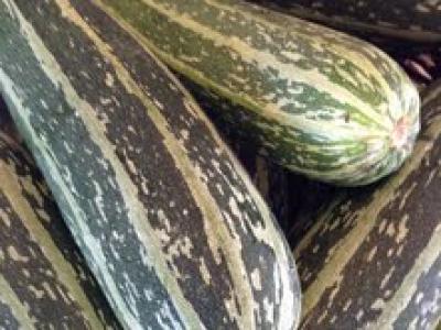 Picture of Marrow from Stanhill Farm