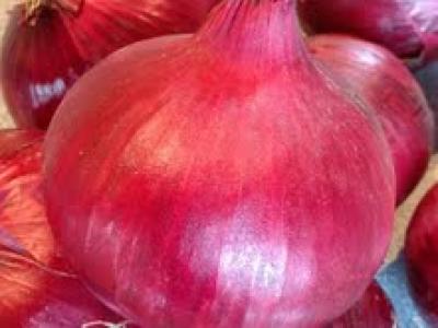 Picture of Onions - Red