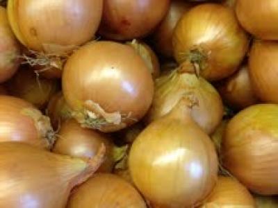 Picture of Onions - White