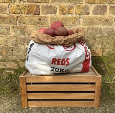 Picture of Potato - Reds 12.5kg Sack