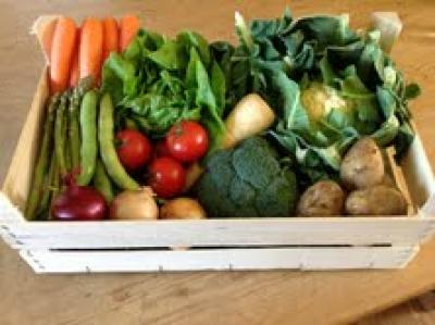 Picture of Produce Box - Large