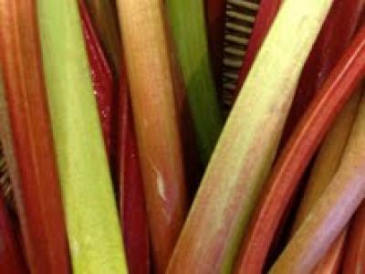 Picture of Rhubarb (grown here at Stanhill Farm)