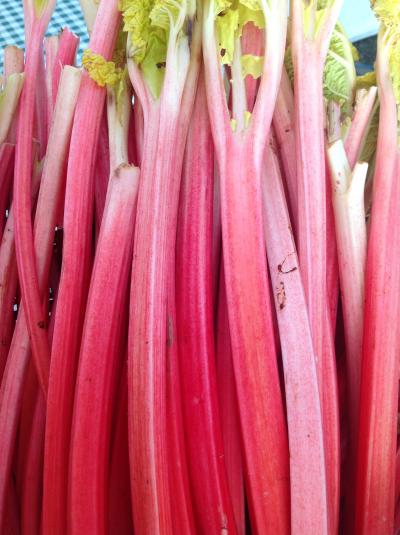 Picture of Rhubarb - Local/Forced