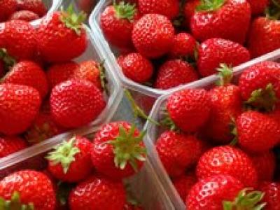 Strawberries - English Picture of Strawberries - English