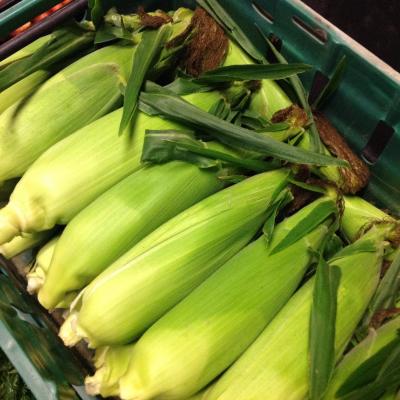 Picture of Sweetcorn (Grown Here at Stanhill Farm)