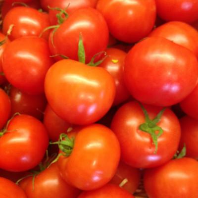 Picture of Tomatoes - Loose