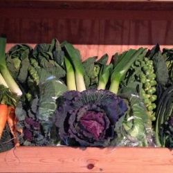 Stanhill Farm, Vegetables local and fresh