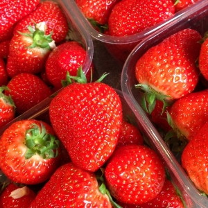 Strawberry picking